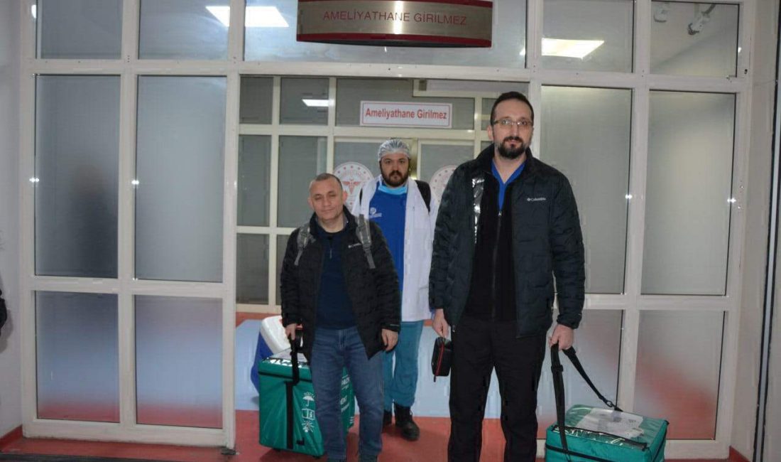 Ahmet KORKMAZER/NEVŞEHİR, – NEVŞEHİR’de motosikletiyle ata çarpıp yaralanan, tedaviye alındığı