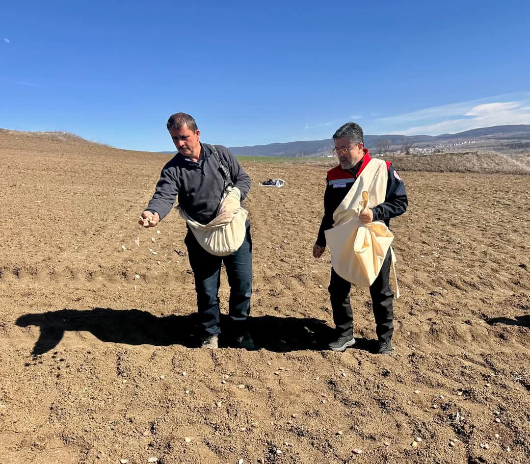Bakan Yumaklı, Kastamonu'da sarımsak ekimine katıldı