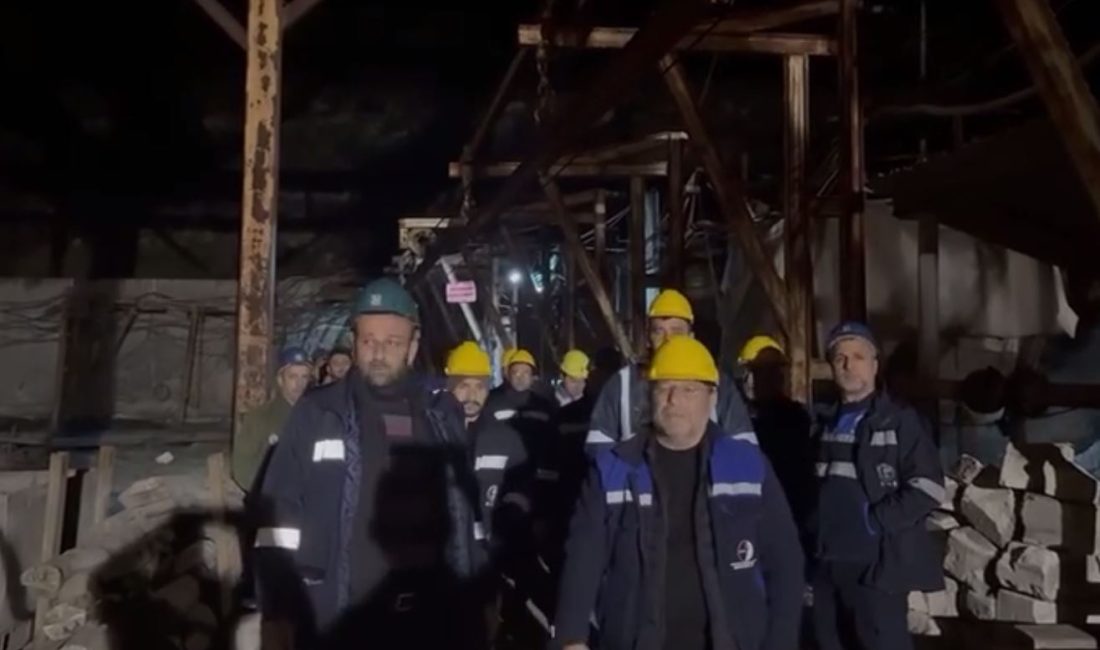 Muammer DAŞDELEN/ BEYPAZARI (Ankara), – ANKARA’nın Nallıhan İlçesindeki Çayırhan Termik
