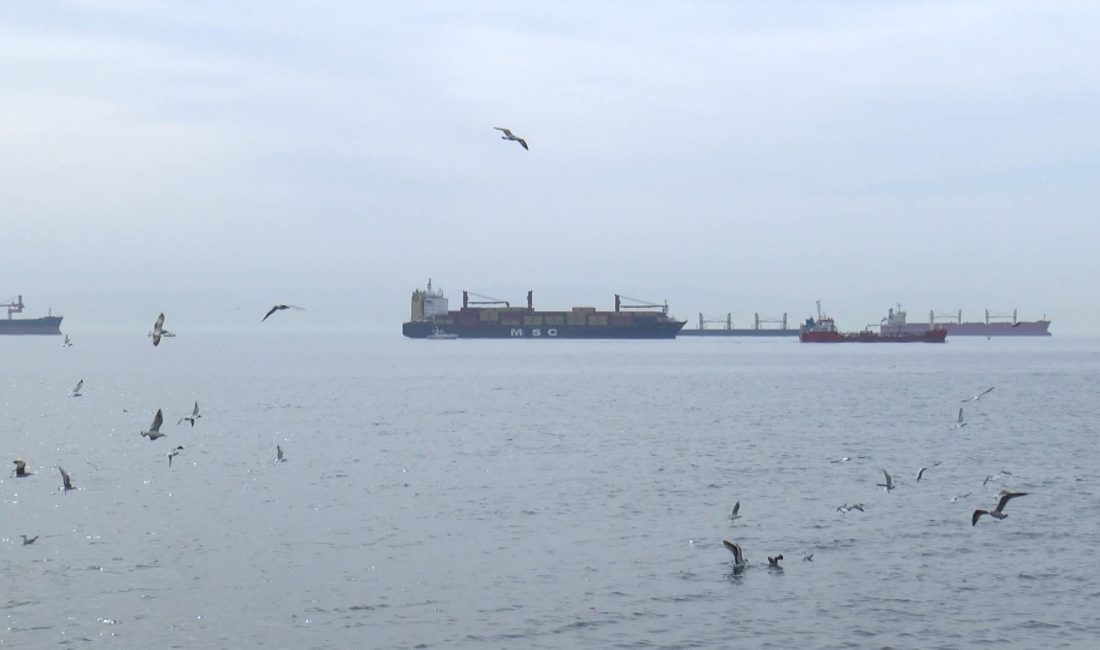 Özgür EREN/İSTANBUL – Bakırköy Yeşilköy sahilinde Liberya Bayraklı MSC Rhiannon