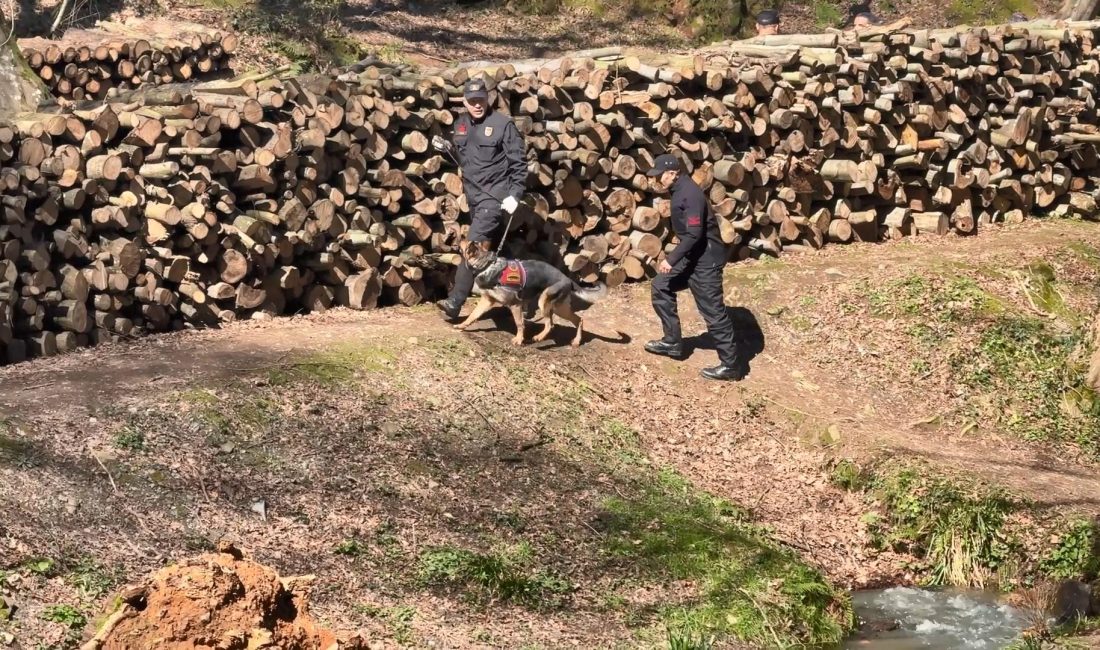 Doğan Can CESUR / İSTANBUL, – İSTANBUL’da arkadaşına Belgrad Ormanı’na