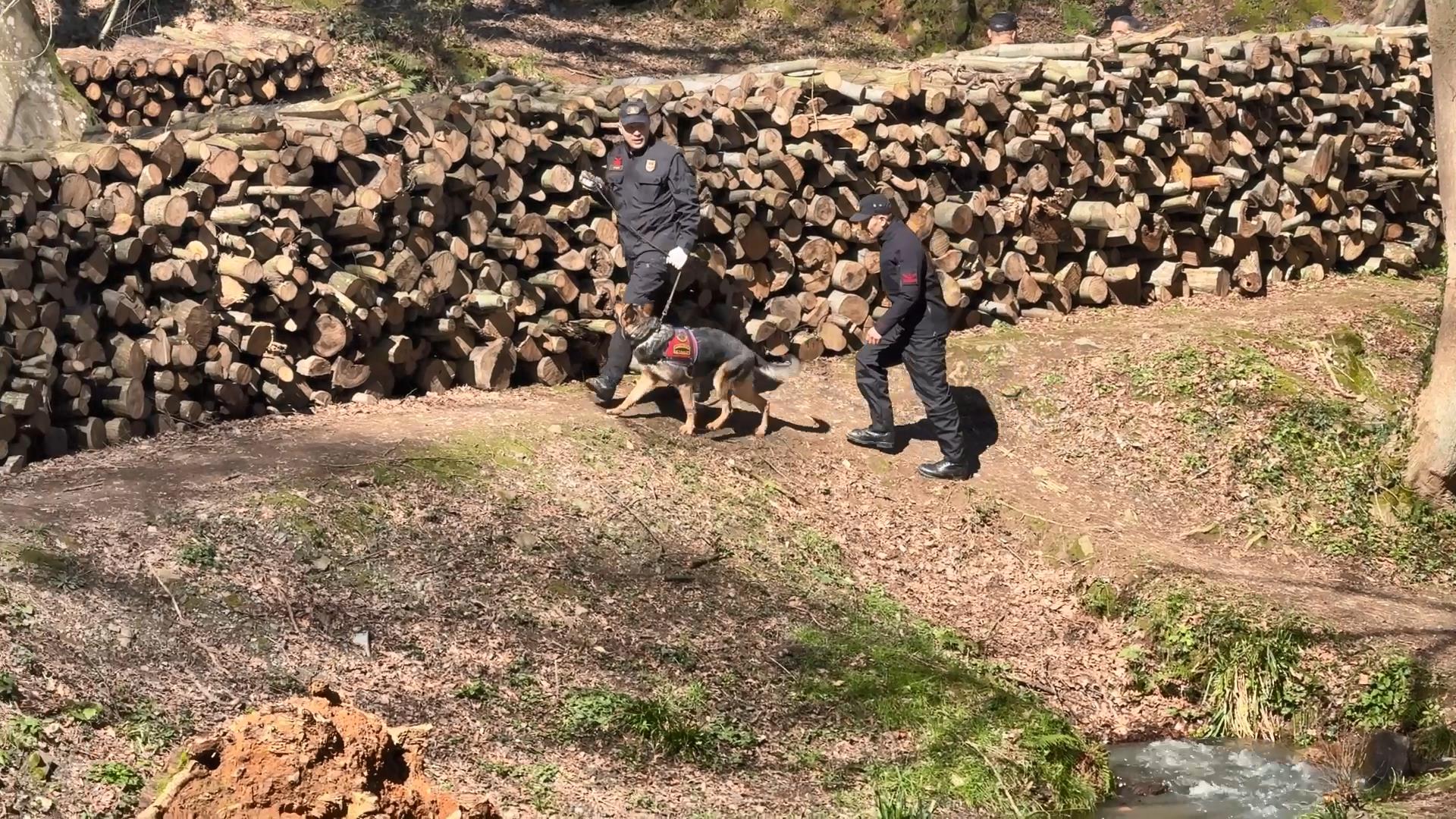 İstanbul Belgrad Ormanı'nda kaybolan Ece Gürel'in akrabası: 4 5 avukatla aynı odaya sokmuşlar nasıl bir psikolojiye maruz kaldı bilemiyoruz