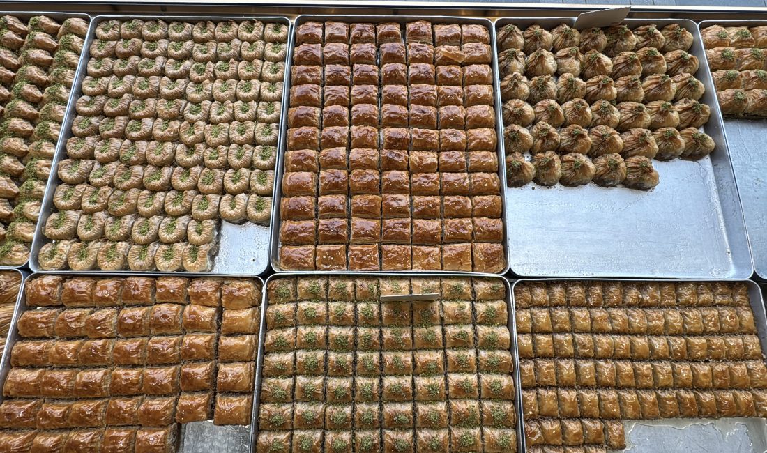 Berkay YILDIZ/SAMSUN, – SAMSUN Ondokuz Mayıs Üniversitesi (OMÜ) Beslenme ve