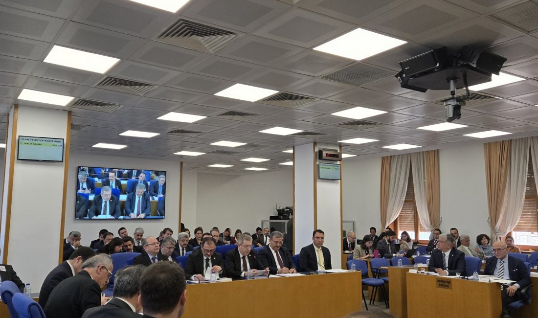 Aliekber METE/ANKARA, – TBMM Plan ve Bütçe Komisyonu’nda, 112 Acil