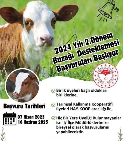 Besicilere Müjde! Kuzu/Oğlak ve Buzağı Desteğinde İkinci Başvuru Dönemi Başladı 1 3f87be3a c11d 43c8 bc82 a44b4c0da786