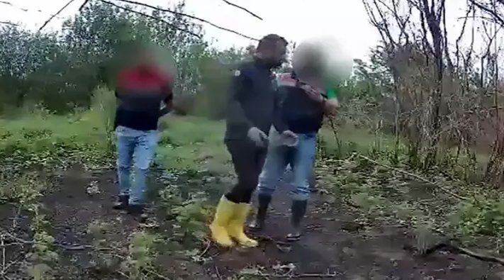 Ceyhun ÖZER/CEYHAN, (Adana), (DHA)- ADANA’nın Ceyhan ilçesinde Hint keneviri ekimi