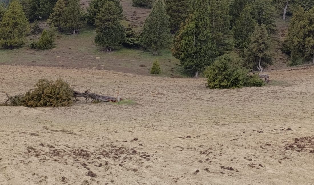Öğle saatlerinde başlayan kar yağışı etkisini sürdürüyor. Fırtına nedeniyle de