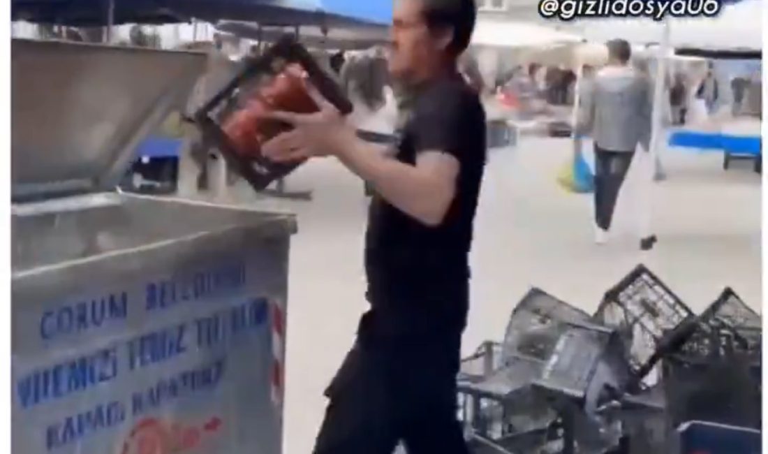 ANKARA, – TİCARET Bakanlığı Bakan Yardımcısı Mahmut Gürcan, Çorum’da domatesleri