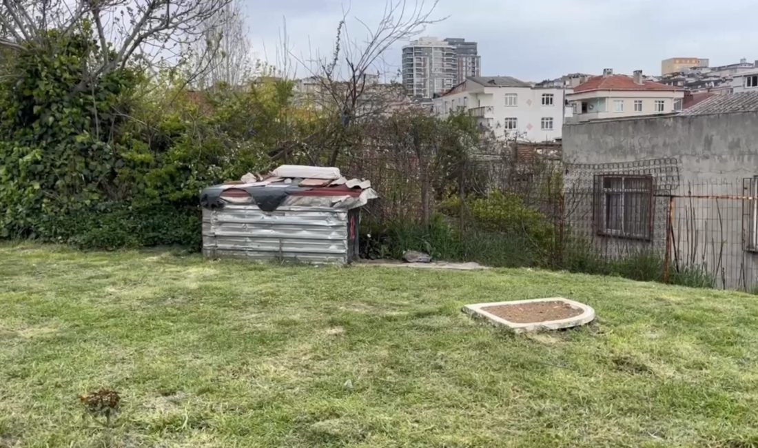Baran AKKAYA/İSTANBUL, – KÜÇÜKÇEKMECE’de yol kenarında bulunan boş arazide arkadaşları