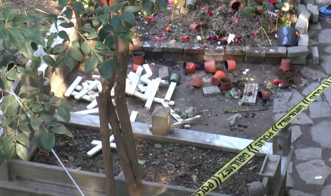 Özgür EREN/ İSTANBUL, – KADIKÖY’de alışveriş yapmak için gittiği bit