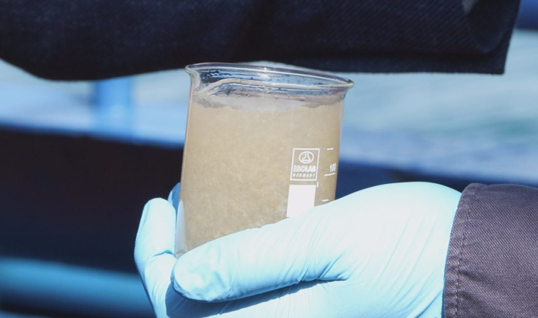 Tuğçe ODABAŞI-Mehmet ALA/ İSTANBUL – MARMARA Denizi’nde müsilajın yeniden görülmeye