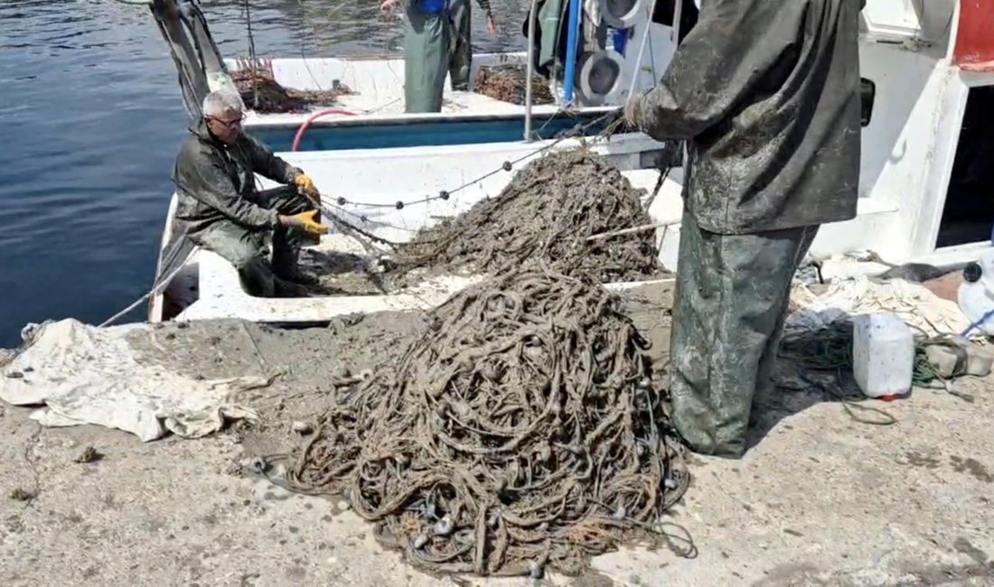 İLGİNİZİ ÇEKEBİLİR: Kick boksta dünya ve Avrupa şampiyonu olan kardeşler: