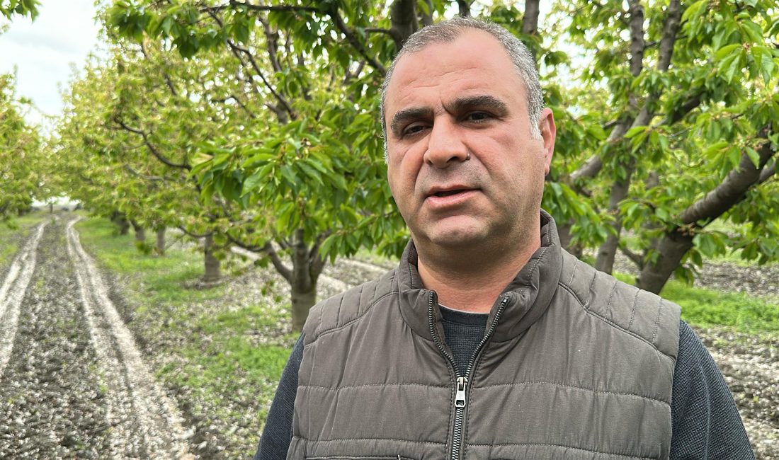 Fatih YILMAZ/TOKAT, -TOKAT Ticaret Borsası Başkanı Lütfi Bora, zirai dona