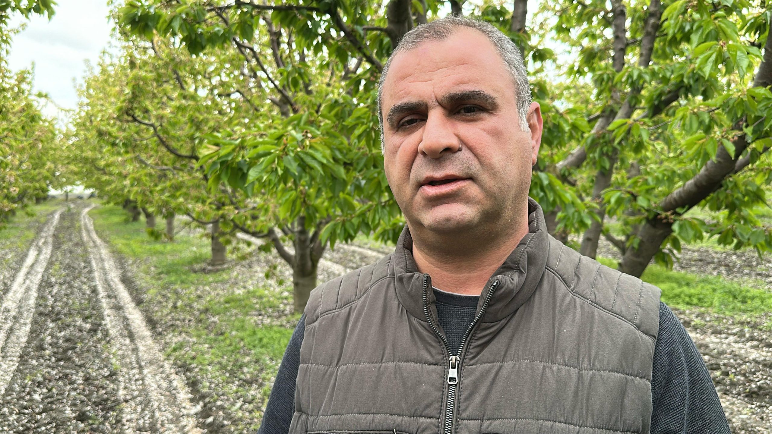 Tokat Ticaret Borsası Başkanı Bora: Elma ve kiraz üretimi durmuş vaziyette