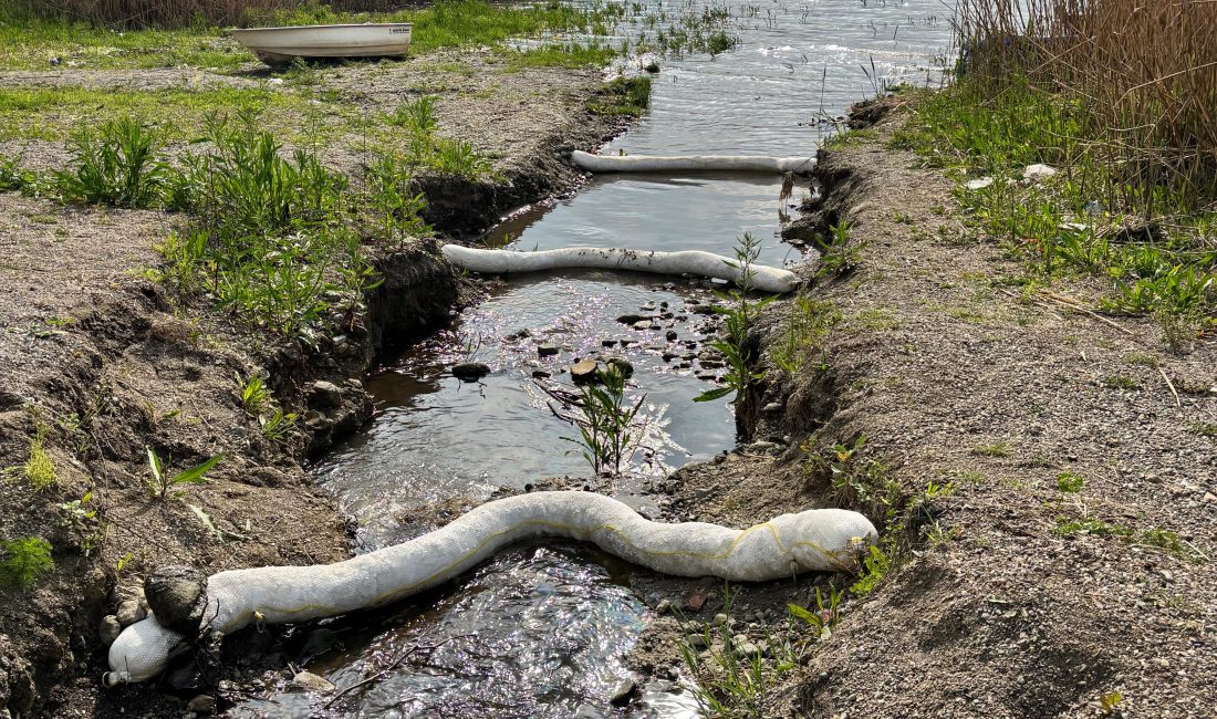 İsa ÇİÇEK/SAPANCA, (Sakarya), – SAKARYA’nın Sapanca ilçesinde, Sakarya ve Kocaeli’nin