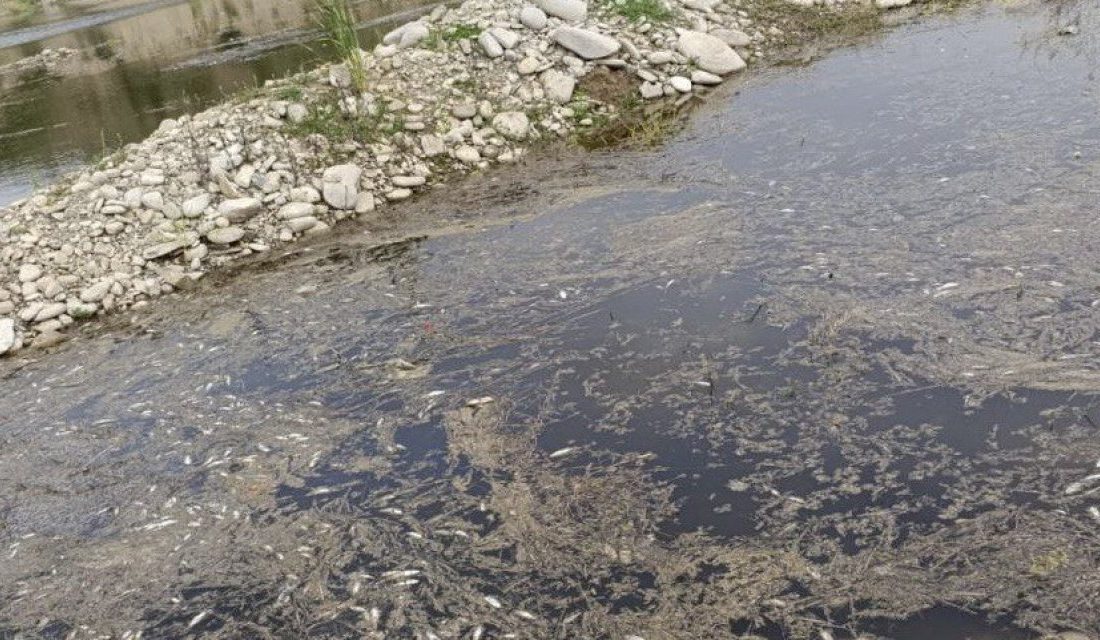 Kahramanmaraş’ın Onikişubat ilçesine bağlı İsmailli Mahallesi kırsalındaki Göcek Deresi’nde yaşanan