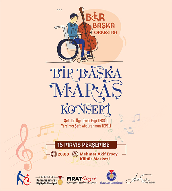 Bir Baska Orkestra