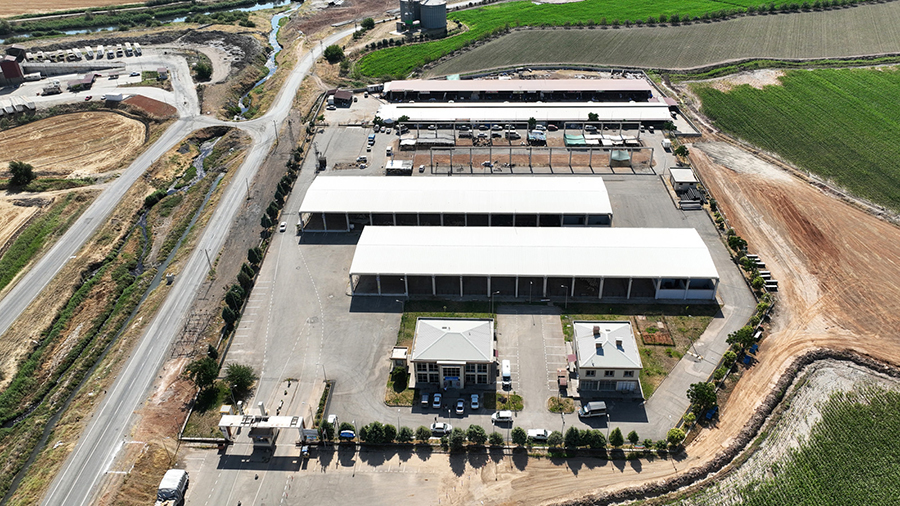 Canli Hayvan Borsasi (8)