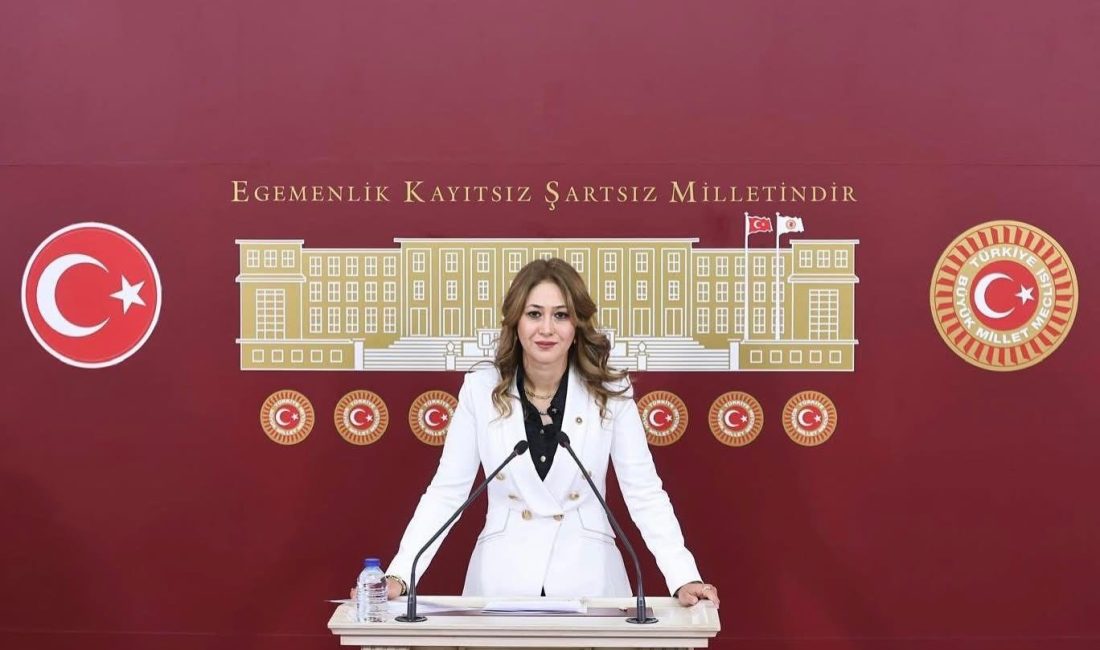 Milliyetçi Hareket Partisi (MHP) Kahramanmaraş Milletvekili Doç. Dr. Zuhal Karakoç