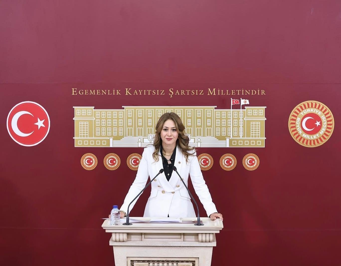 WhatsApp Image 2025 02 05 at 11.42.05