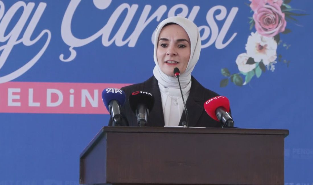 Didem ERGİN – Ulaşcan ÖZER/İSTANBUL, – AİLE ve Sosyal Politikalar