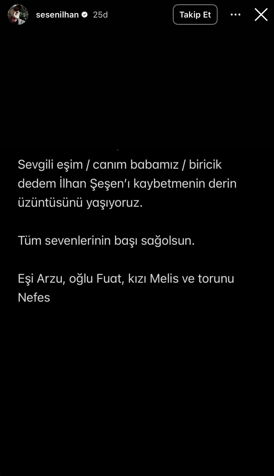 İstanbul İlhan Şeşen hayatını kaybetti