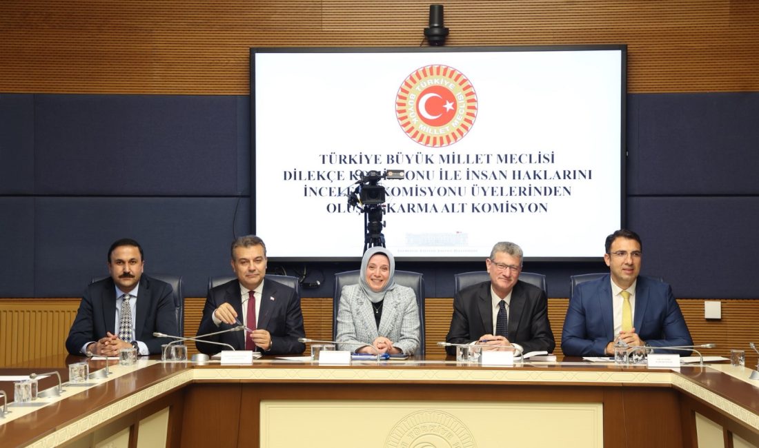 Aliekber METE/ ANKARA, – TBMM Dilekçe Komisyonu ile İnsan Haklarını