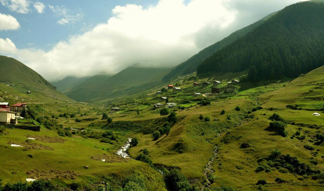 Selçuk BAŞAR-Efnan DEMİREREN/TRABZON, – GÖĞÜS Hastalıkları Uzmanı Prof. Dr. Tevfik
