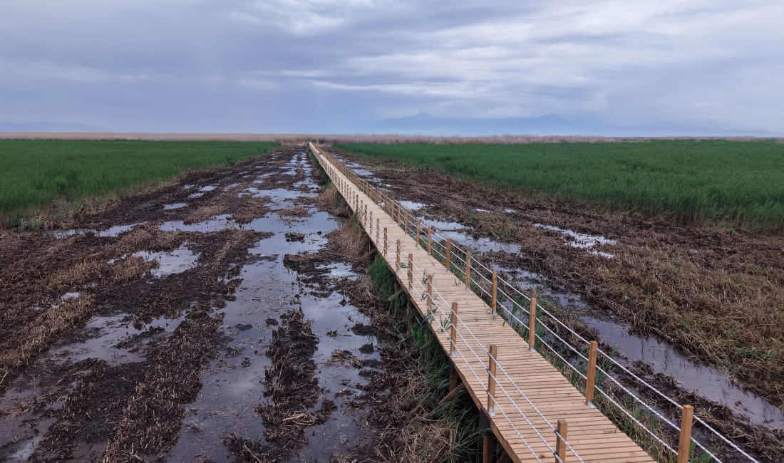 KAYSERİ, – TÜRKİYE’nin önemli sulak alanlarından olan Sultan Sazlığı Milli