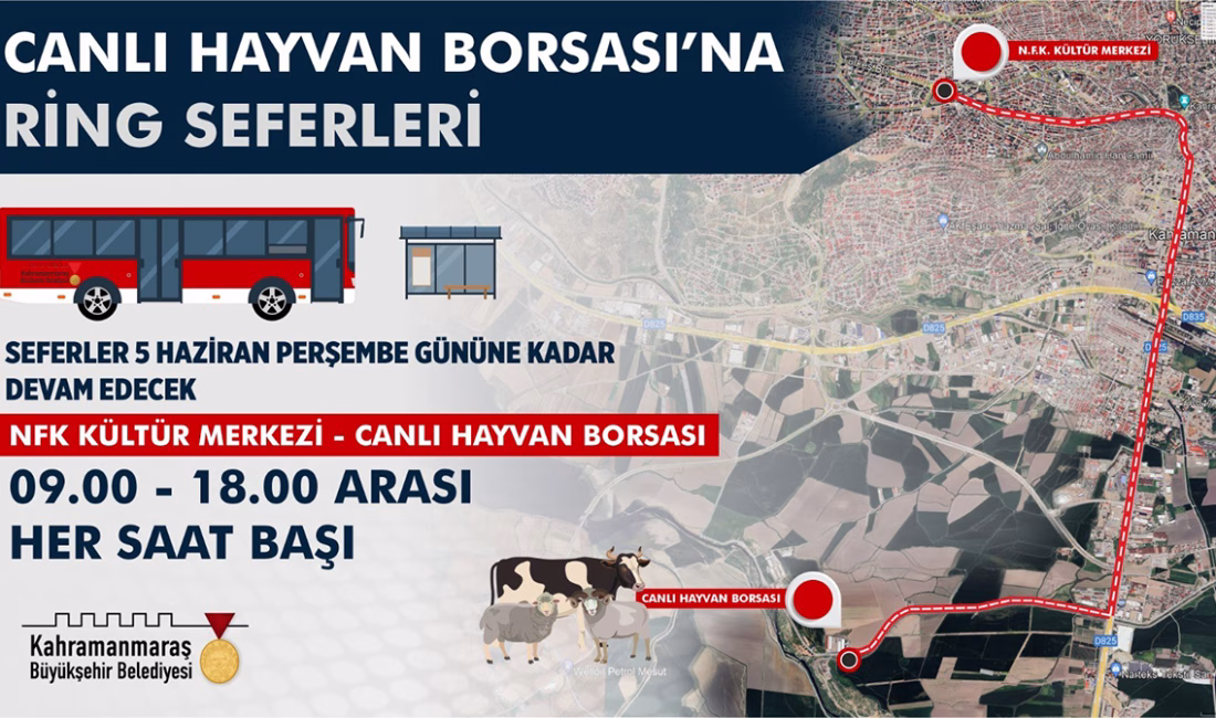 Büyükşehir Belediyesi, kurbanlık alışverişi yapacak vatandaşların Canlı Hayvan Borsası’na ulaşımını