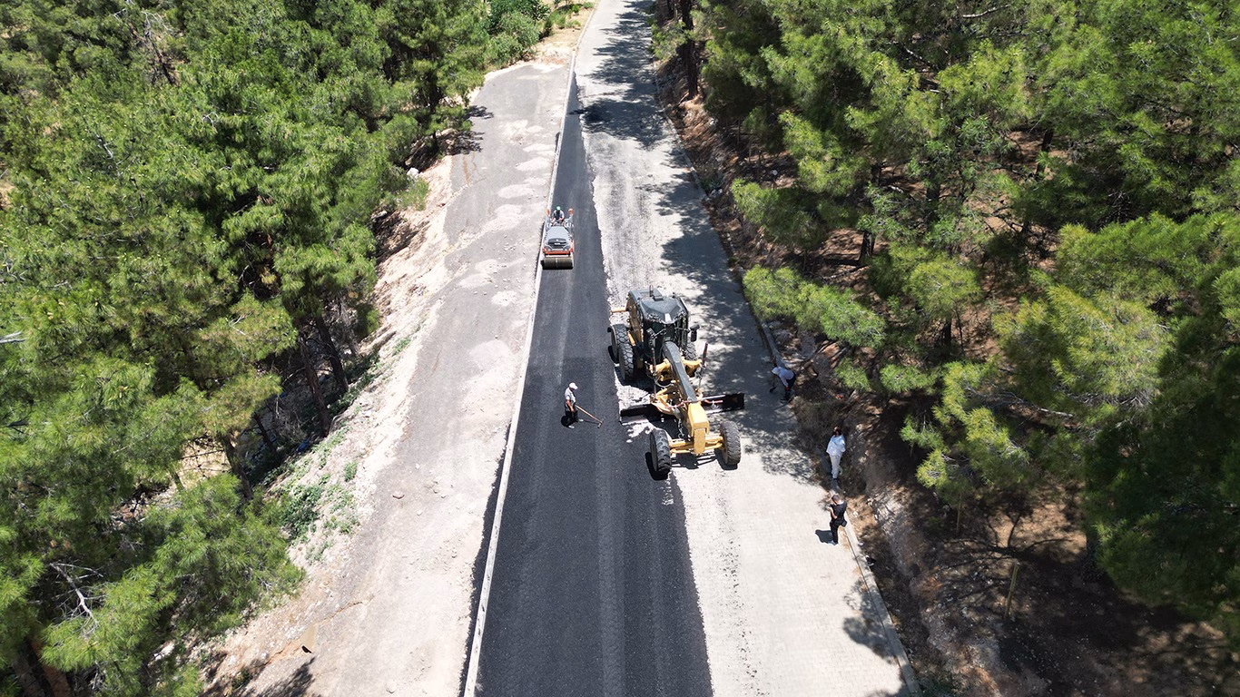 WhatsApp Image at .. ()