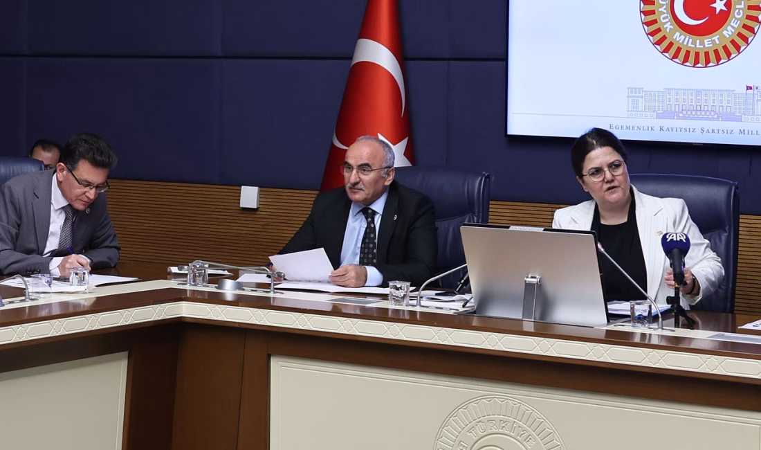 
AK Parti Osmaniye Milletvekili Derya Yanık başkanlığındaki TBMM İnsan Haklarını