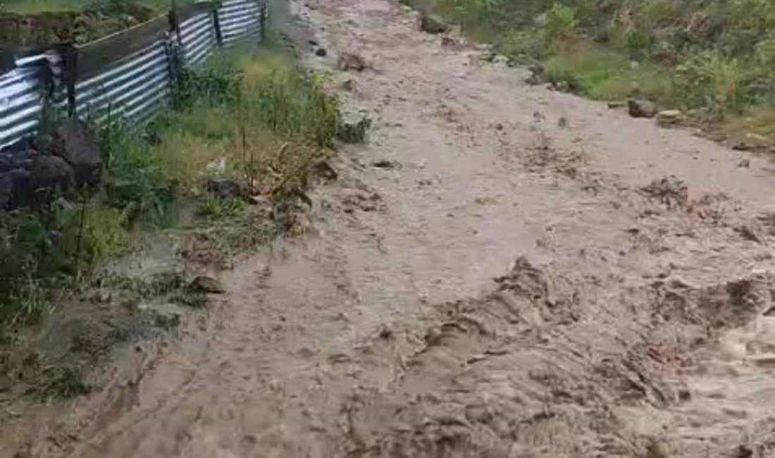 Dinçer AKTEMUR/ARDAHAN, – ARDAHAN’ın Göle ilçesinde etkili olan kuvvetli sağanak,