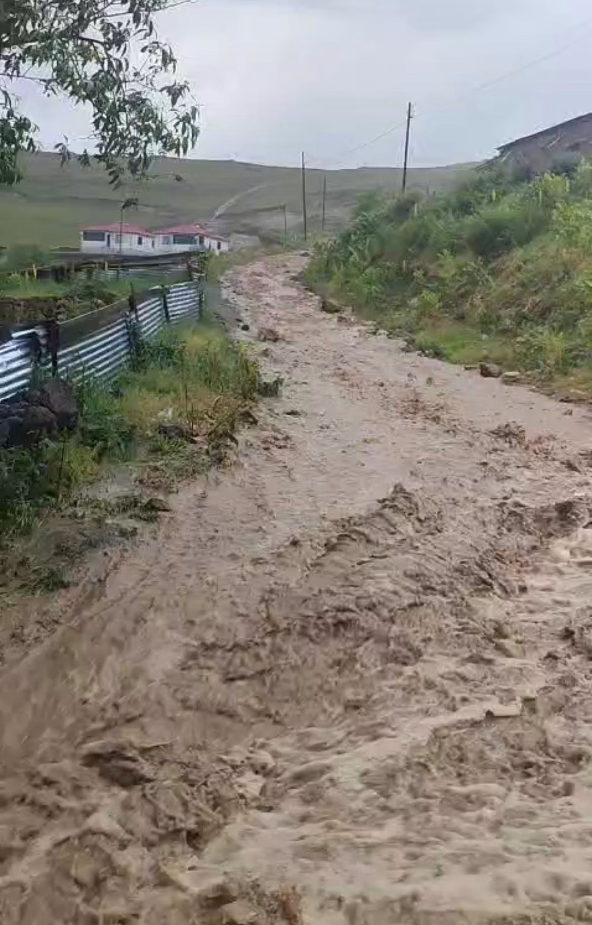 Göle’de sağanak sele yol açtı, evleri su bastı
