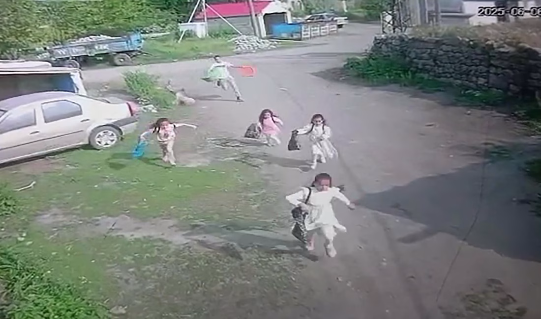 Ümit OKTAN/AĞRI, – AĞRI’nın Eleşkirt ilçesine bağlı Aydoğdu köyünde kaçan