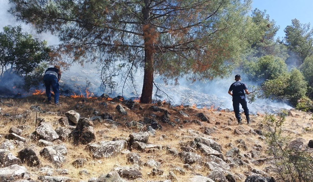 Kahramanmaraş’ın Pazarcık ilçesinde piknik yapmak isterken ormanı yakan 2 kişi
