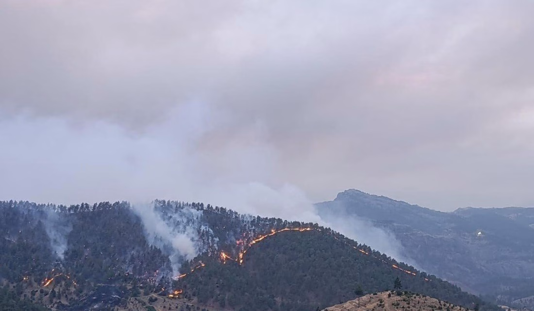 Kahramanmaraş Valiliği, 26 Temmuz 2025 tarihinde Onikişubat ilçesi Çamlıbel Mahallesi