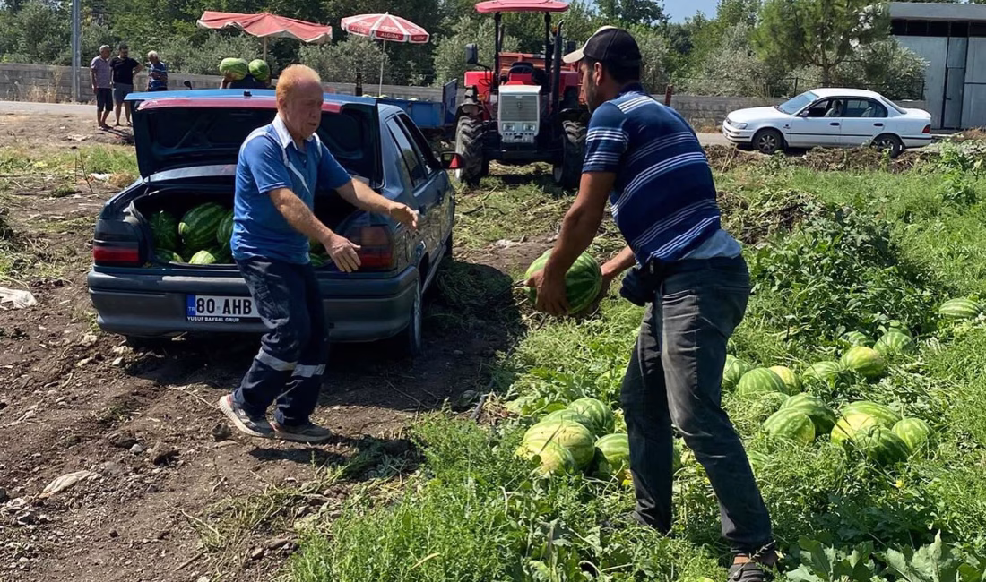 Düziçi Belediyesi, ilçede üretim yapan çiftçilere destek olmak ve aynı