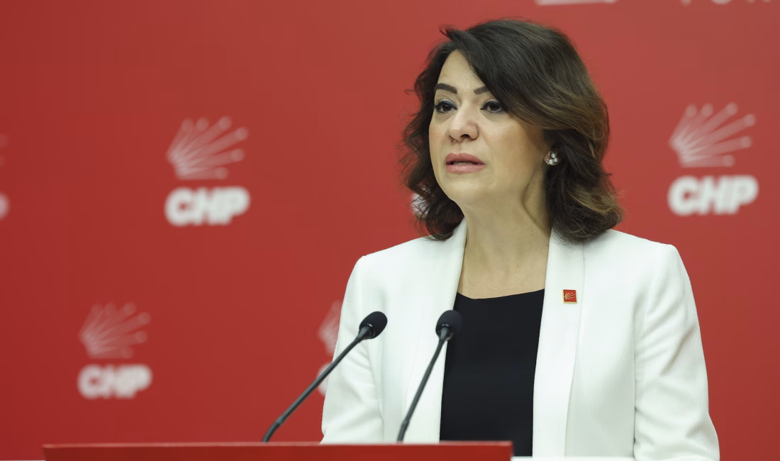 ANKARA, – CHP Genel Başkan Yardımcısı Gamze Taşcıer, 8’inci dönem