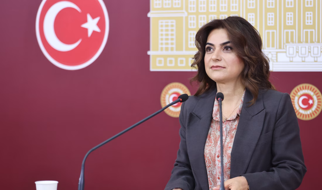 Aliekber METE/ANKARA, – DEM Parti Grup Başkanvekili Gülistan Kılıç Koçyiğit,