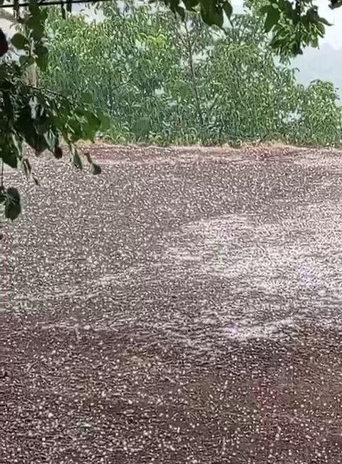 Tekin YALÇINKAYA/ ELAZIĞ, – ELAZIĞ’ın Karakoçan ilçesine bağlı Bazlama köyünde