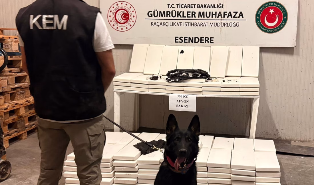 Mehmet ÖZKAN/HAKKARİ, – HAKKARİ’nin Yüksekova ilçesine bağlı Esendere Gümrük Kapısı’ndan