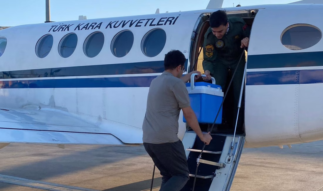 ANKARA, – MİLLİ Savunma Bakanlığı (MSB), organ nakli bekleyen bir