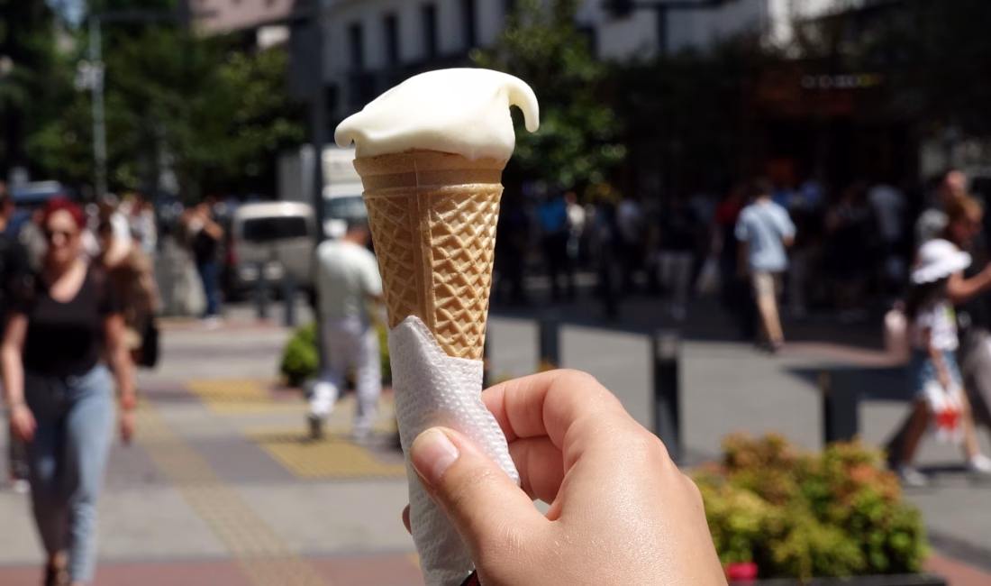Selçuk BAŞAR-Efnan DEMİREREN/TRABZON, – KARADENİZ Teknik Üniversitesi (KTÜ) Beslenme ve