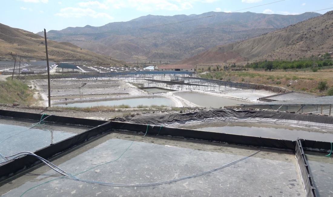 İLGİNİZİ ÇEKEBİLİR: Kendisi 46, kalbi 19 yaşında Ek fotoğraflar //  Çağlayan