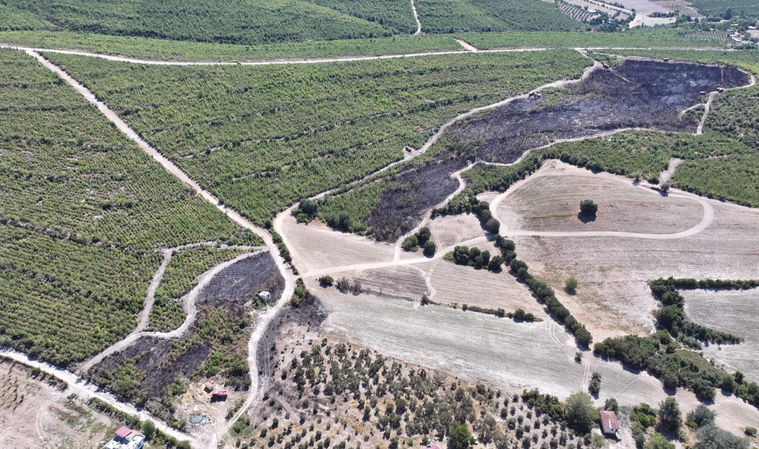Sumbas Akdam Köyü Evciler Mahallesi’nde bahçeden ormana sıçrayan yangın ve