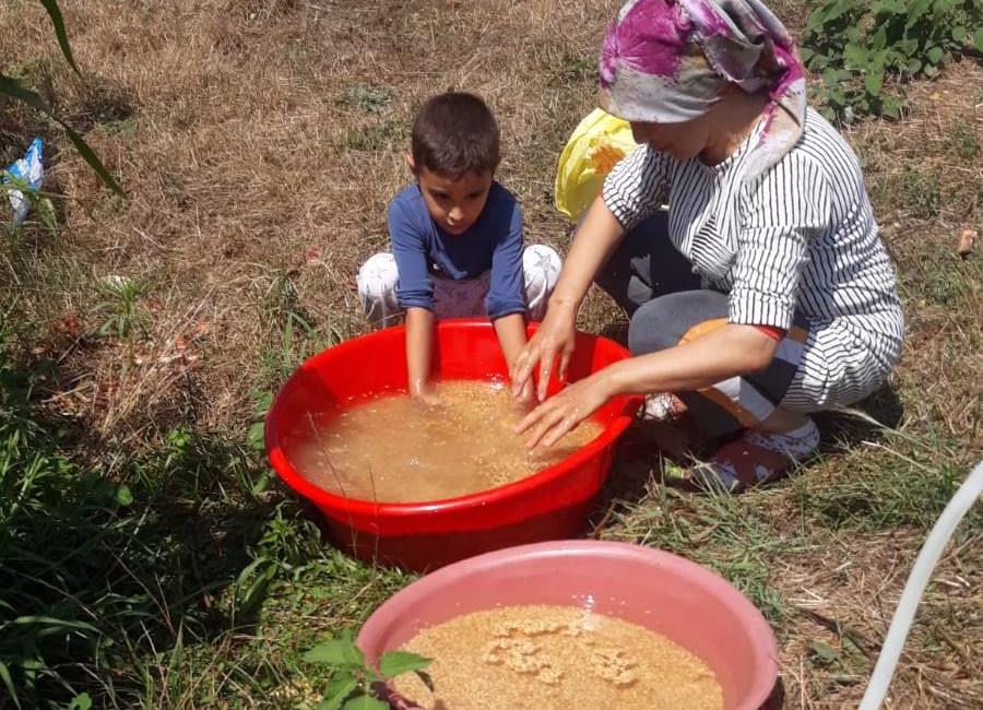 Ağustos ayının gelmesi ve tahıl hasatlarının büyük ölçüde tamamlanmasıyla birlikte,
