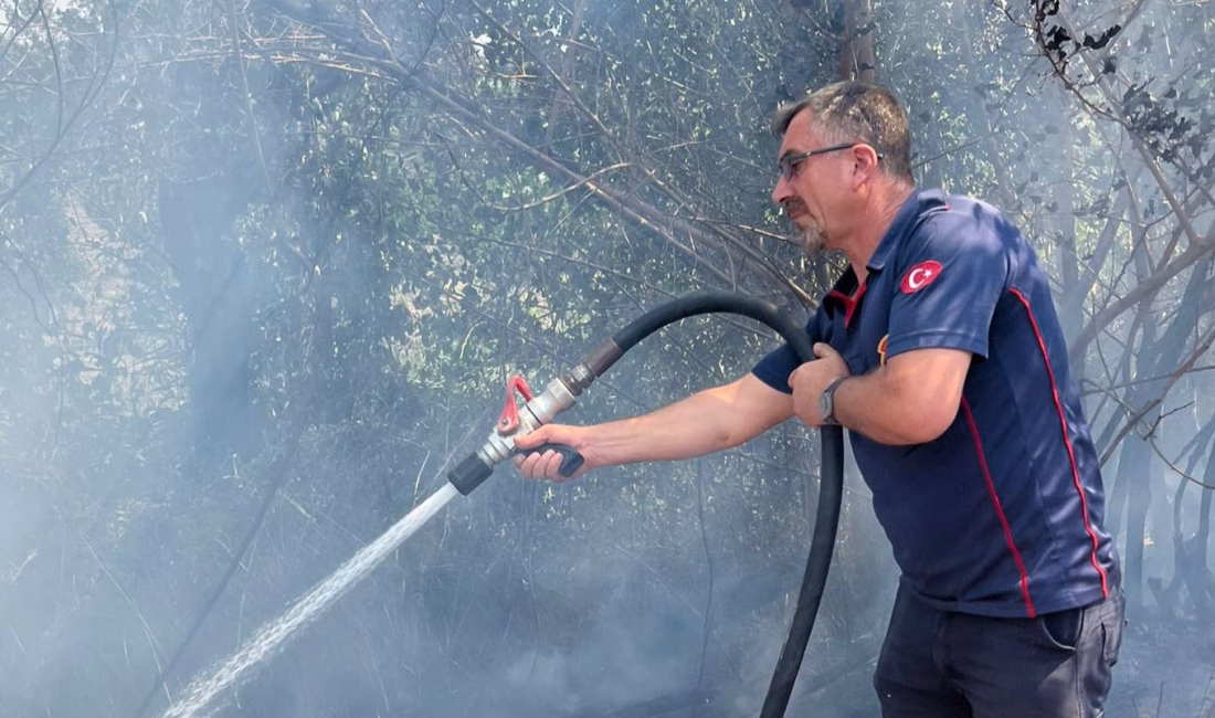 Sumbas’a bağlı Köseli köyünde çalılık alanda çıkan ve yerleşim yerlerini