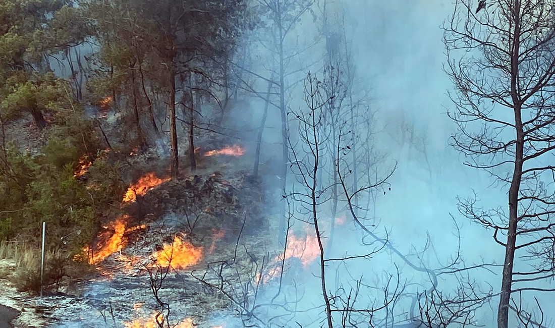 Adana’da orman yangını Uğur SELÇUK-Ali GÖKDAL/İMAMOĞLU (Adana), – ADANA’nın İmamoğlu ilçesinde orman yangını