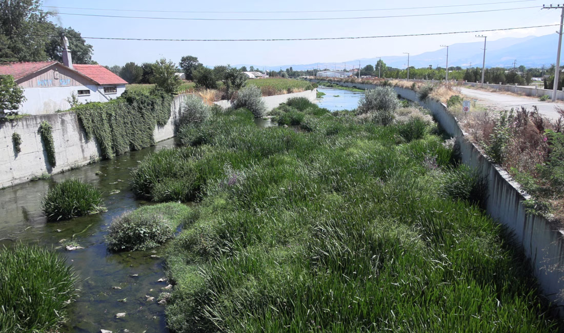 Mutlu YUCA/BOLU, -BOLU’da tarım arazilerinin ortasından geçen ve ekili alanların